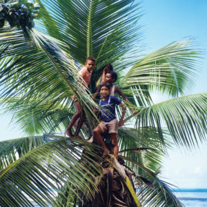Pointers from Seychelles