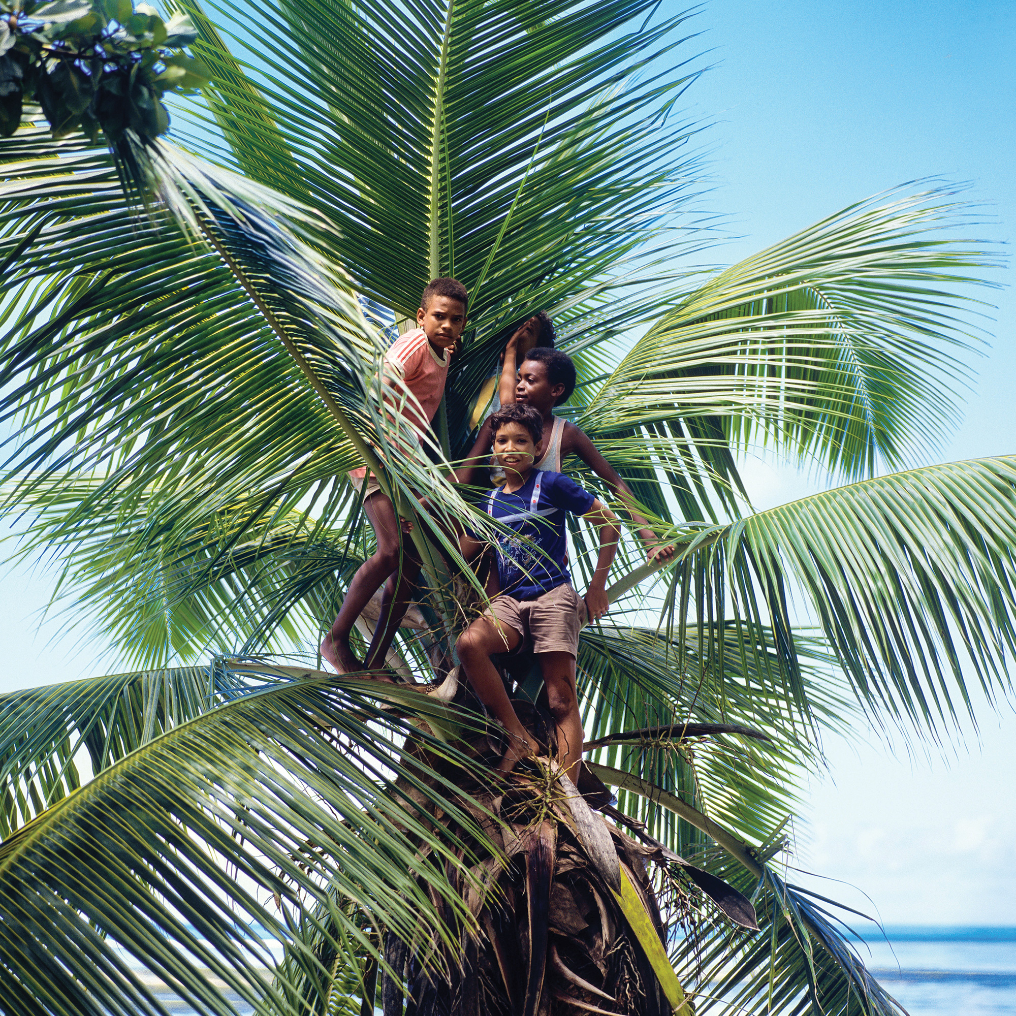 Pointers from Seychelles